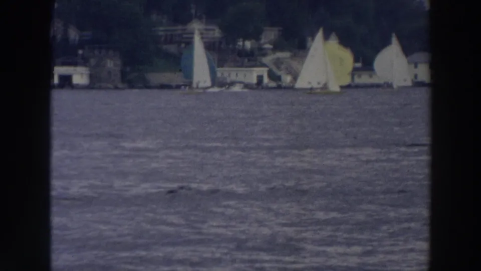1966 Wisconsin lake view with several small sailboats and a tree-lined shoreline behind them.