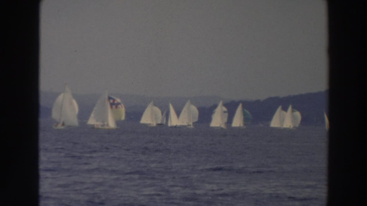 White sailboats scattered across a lake with a wooded shoreline in the distance.