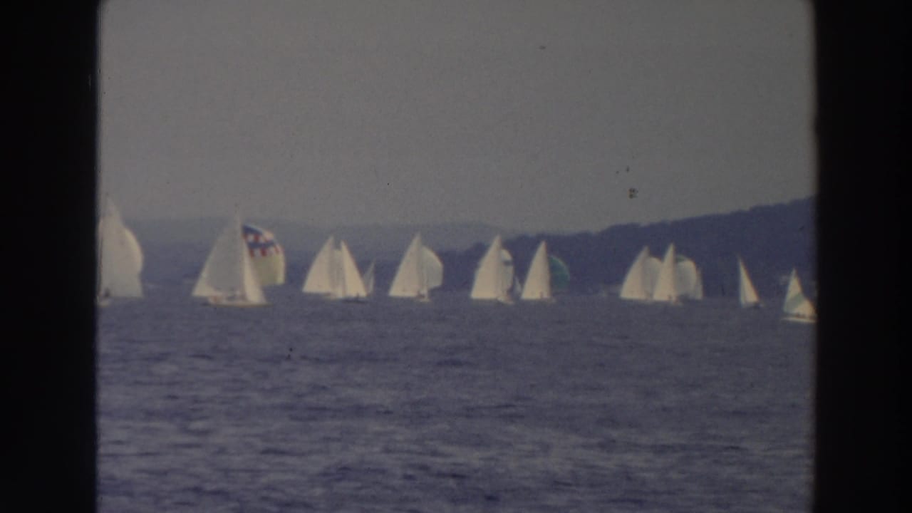 1966 Wisconsin lake view with several white sailboats spread across the frame and a tree-lined shore in the background.