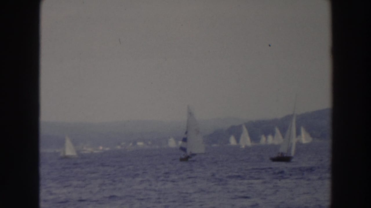 Wide 8mm view of multiple sailboats gliding across a Wisconsin lake, with muted color and soft focus.