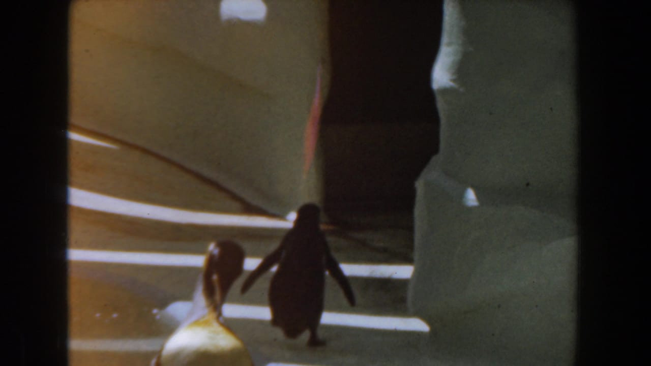 Penguin waddling indoors beside a smaller bird on a striped floor.