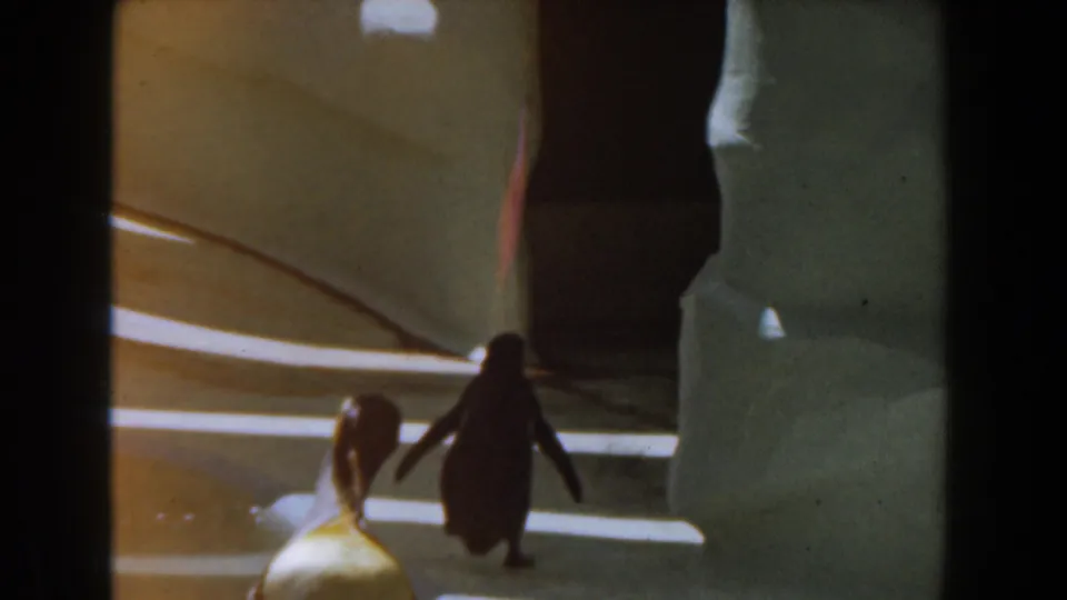 1961 Burbank 8mm frame showing a penguin walking through a dim indoor enclosure near a smaller bird on a pale striped floor.
