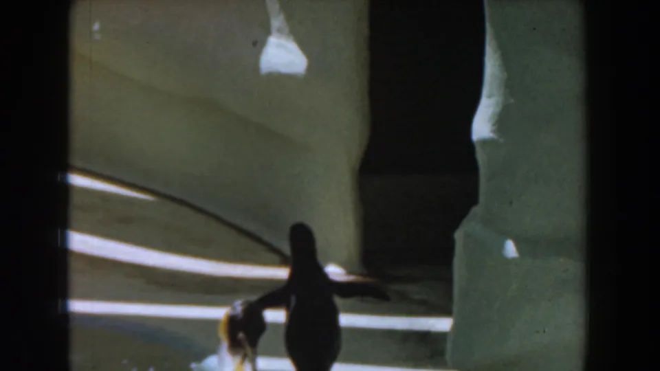 1961 Burbank frame of a penguin near a smaller bird, silhouetted against pale enclosure walls and floor stripes.