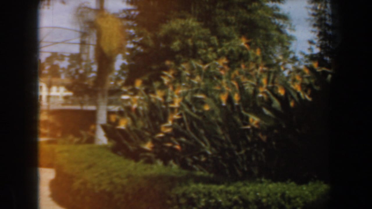 Burbank garden view with a paved path, clipped hedges, white posts, and a tennis court structure visible behind trees and planting.