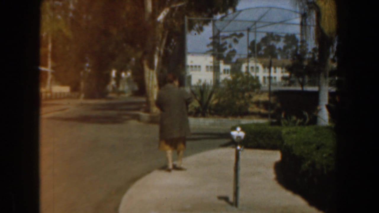 In Burbank, California, 1961, a woman walks along a paved zoo path near a coin-operated viewer and landscaped enclosure area.