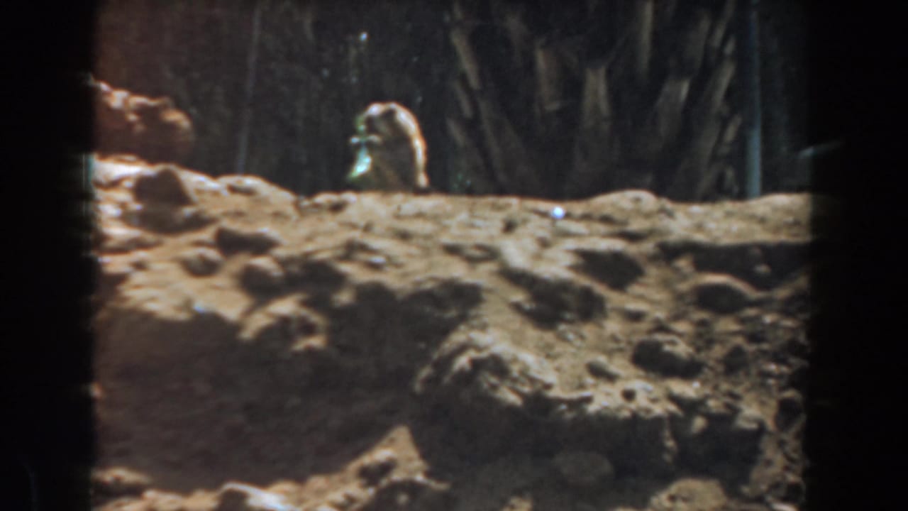 1961 Burbank 8mm frame showing a small light-brown mammal partly visible behind sandy terrain, with dark foreground framing and plants behind it.