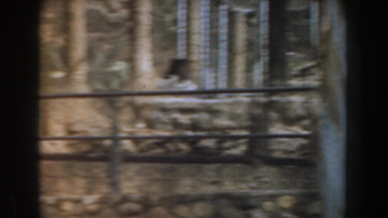 Rocky zoo enclosure seen through dark film-frame borders and fencing.