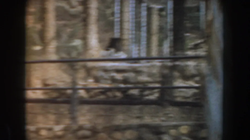 1961 Burbank zoo enclosure with rock walls, rails, fencing, and trees, partly obscured by 8mm film-frame borders.