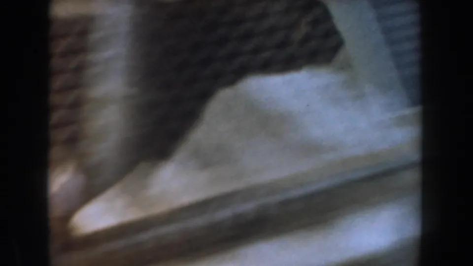A soft, blurred 8mm frame shows pale enclosure ground and dark fencing or shadow as the camera shifts within the zoo scene.