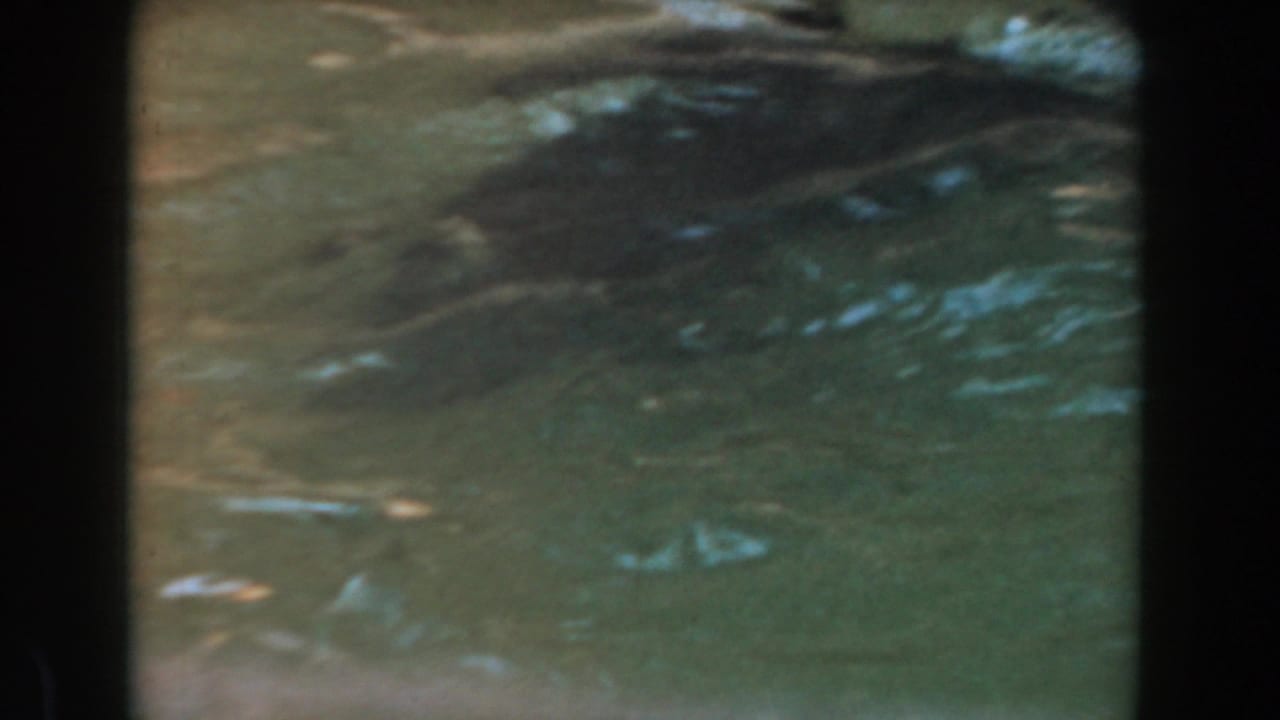 Murky green pool water with ripples and dark film borders.