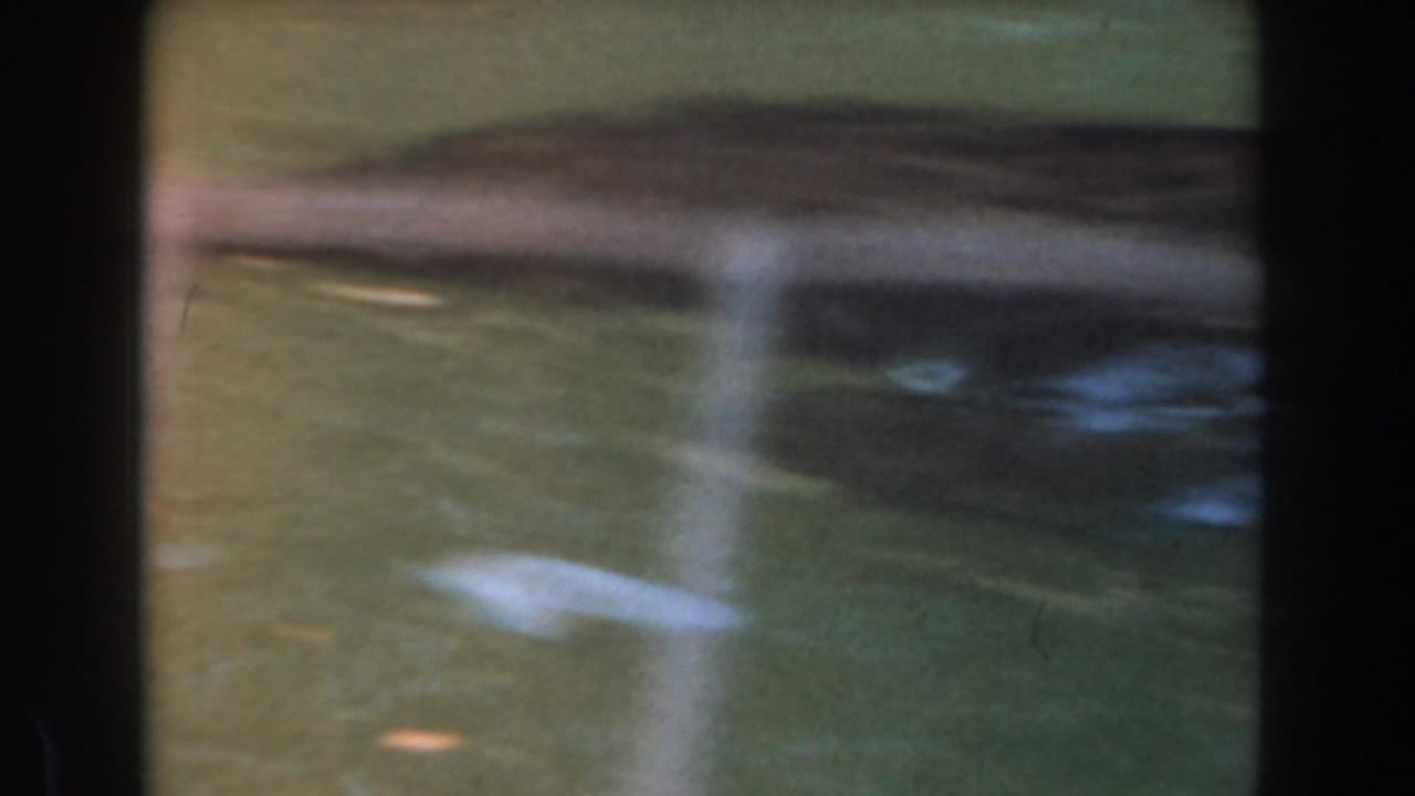 1961 Burbank home-movie frame showing a dim, blurred enclosure surface with reflections before the tiger appears.