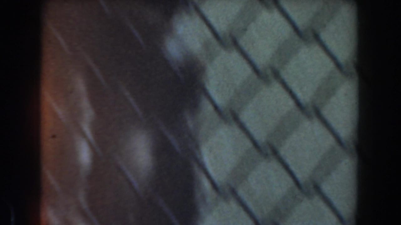 Soft 8mm frame of a baboon partly obscured behind chain-link fencing.