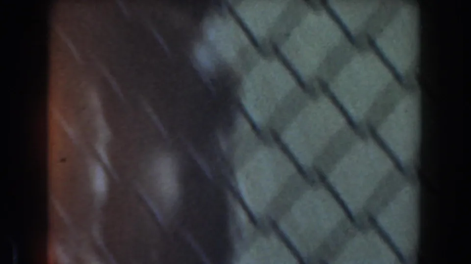 1961 Burbank 8mm frame showing a baboon in a fenced enclosure, seen softly through diamond-pattern mesh.