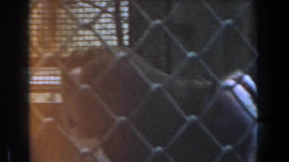 1961 Burbank 8mm frame showing the baboon nearer the fence, with warm edge light and soft home-movie grain.