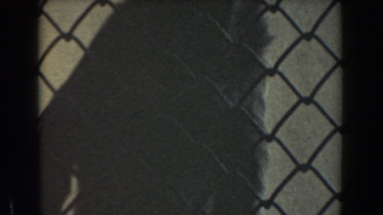 Chimpanzee partly obscured behind chain-link fencing in a dim enclosure.