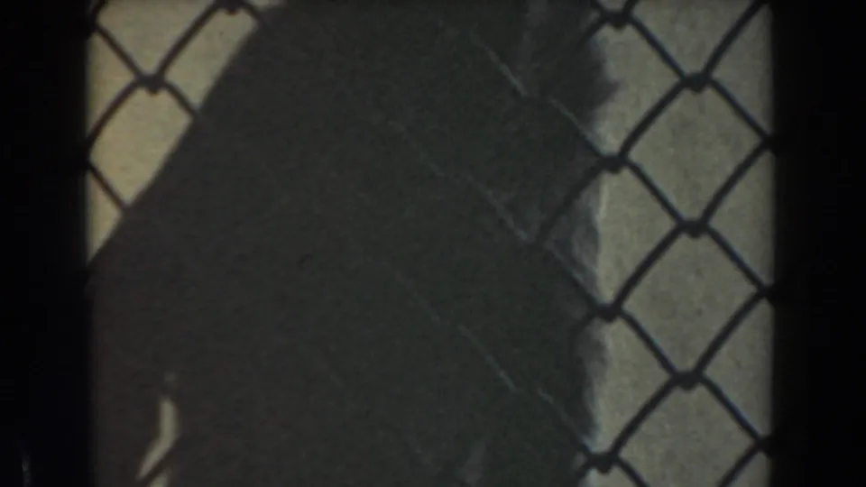 1961 Burbank home-movie frame showing a chimpanzee form behind chain-link fencing, with dark frame edges and soft 8mm grain.