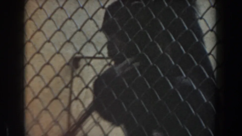 1961 Burbank frame with a chimpanzee silhouetted behind diamond-pattern fencing beside a branch inside the enclosure.