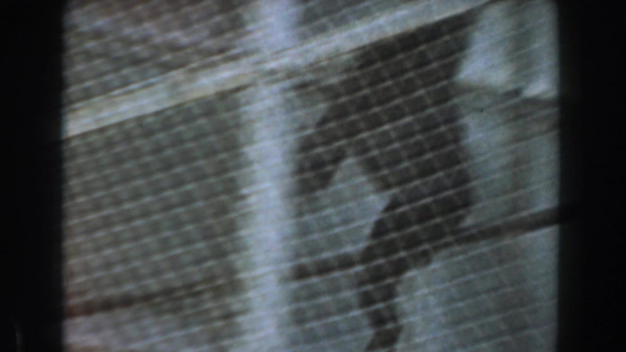 Dark orangutan silhouette seen through chain-link mesh beside a concrete wall.