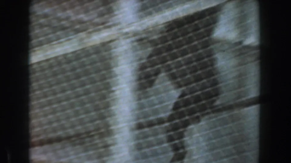 The orangutan is seen in profile through chain-link mesh, with concrete enclosure surfaces behind it.