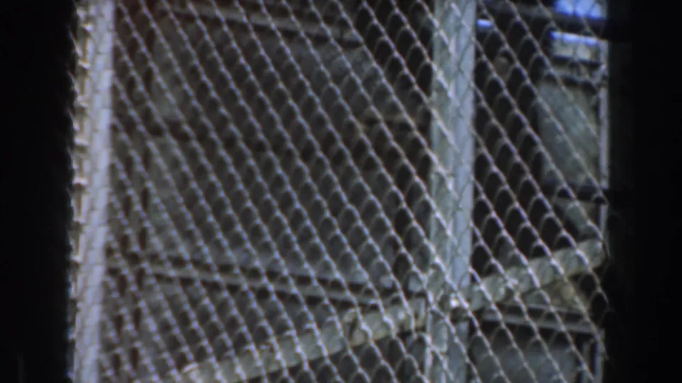 A handheld 8mm view looks through chain-link fencing toward the orangutan and concrete enclosure wall.