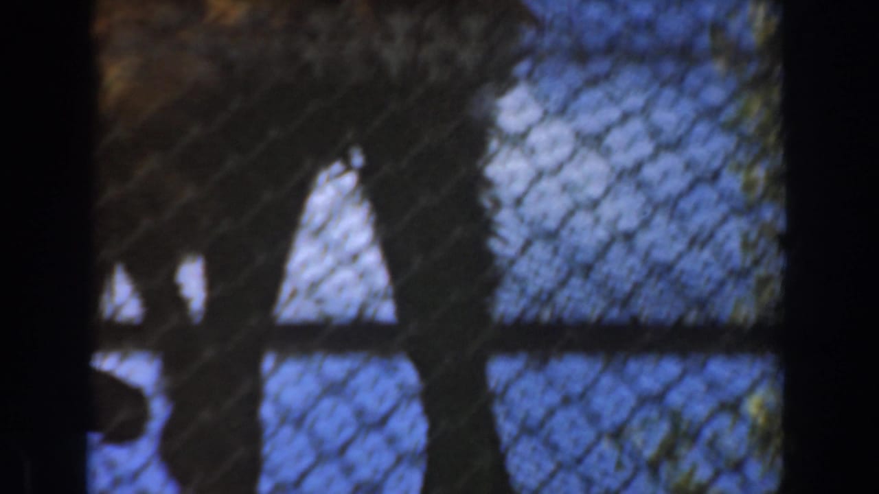 A chimpanzee appears behind chain-link fencing and metal beams in a 1961 Burbank zoo enclosure.