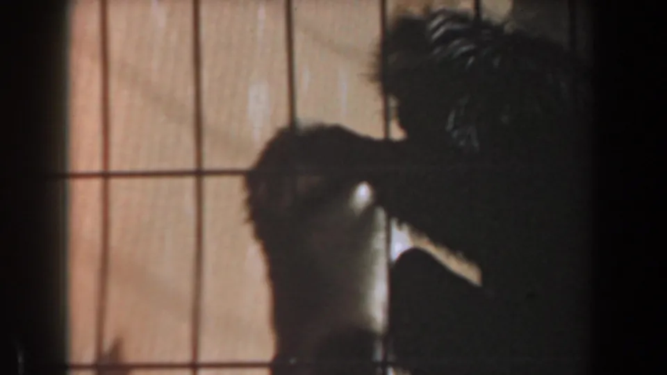 A darker 1961 Burbank frame shows the gorilla in profile or silhouette near vertical bars inside the enclosure.