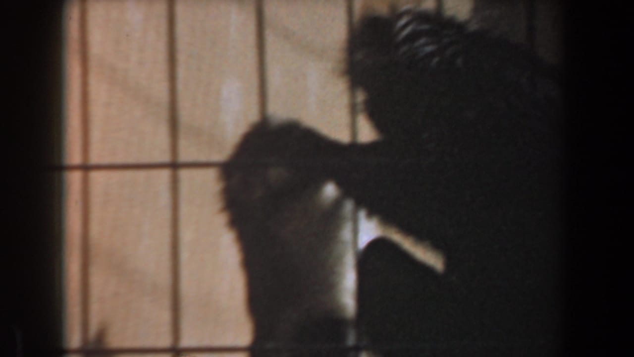 1961 Burbank 8mm frame showing an adult monkey close to a baby monkey inside a backlit wire enclosure.