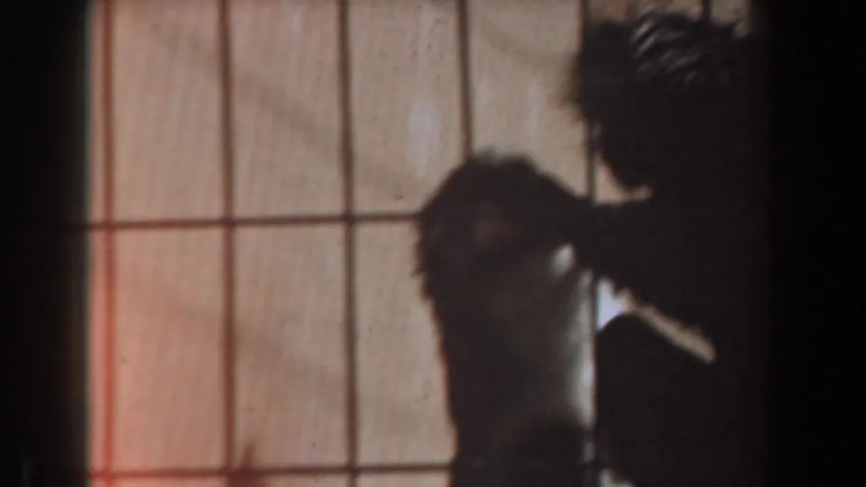 Adult monkey appears to cradle or nuzzle the infant monkey inside a wire cage in the 1961 Burbank home-movie footage.
