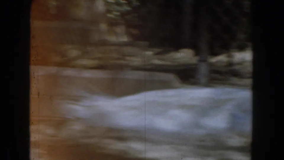 The white peacock appears blurred in motion near dark vertical shapes within the 1961 Burbank zoo enclosure.