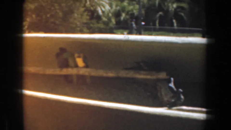 1961 Burbank home-movie frame with parrots on a low enclosure and small distant visitors moving behind them.