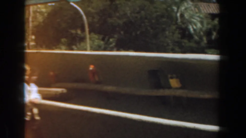 1961 Burbank enclosure view with a parrot near the wall, trees behind it, and a small passerby blurred in front.