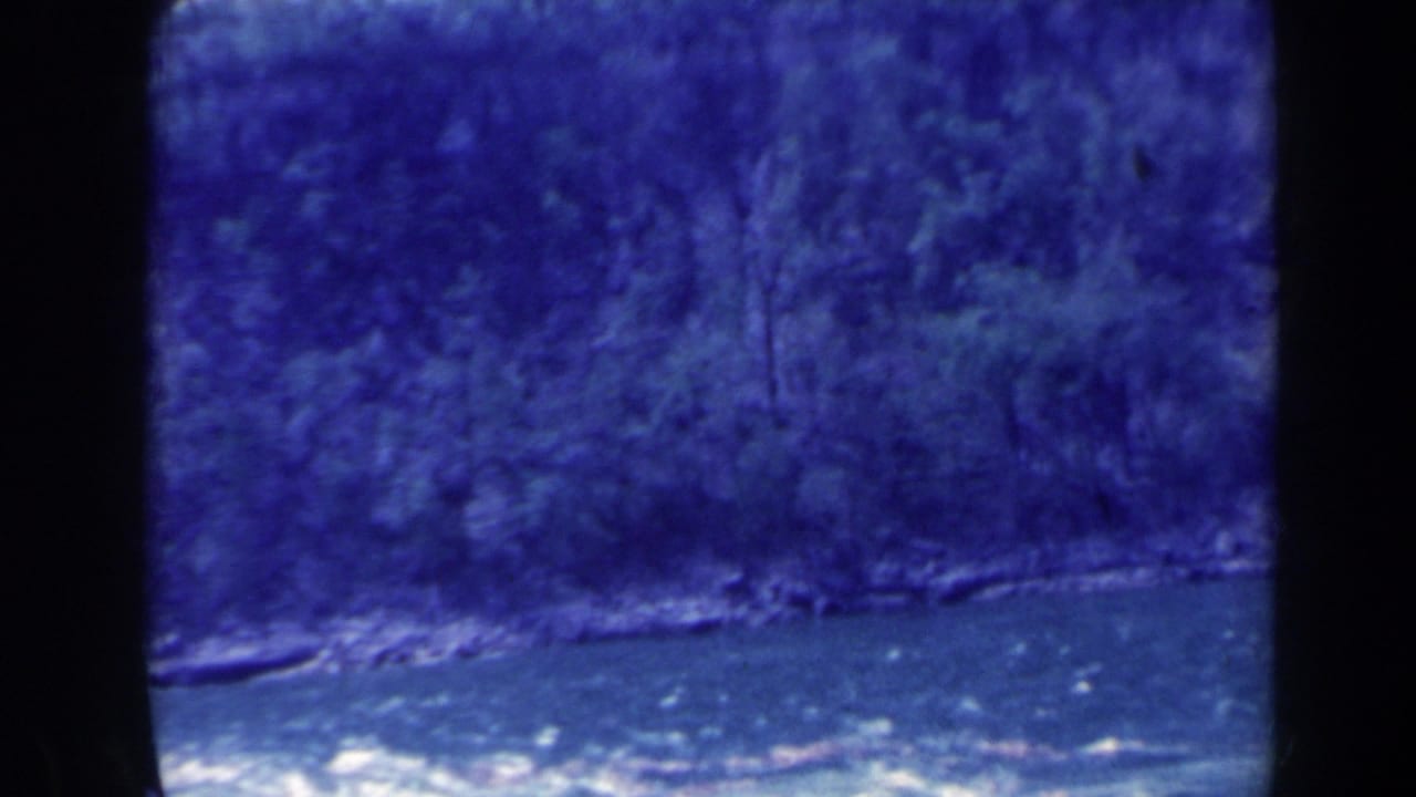 Soft, blue-shifted 1963 8mm view of a wooded riverside or watercourse, likely filmed during travel near Niagara Falls, Canada.