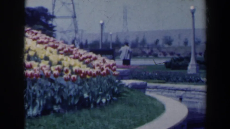 1963 Niagara Falls Floral Clock scene showing tulip bands, a curved stone path, lampposts, and a distant visitor walking through the garden.