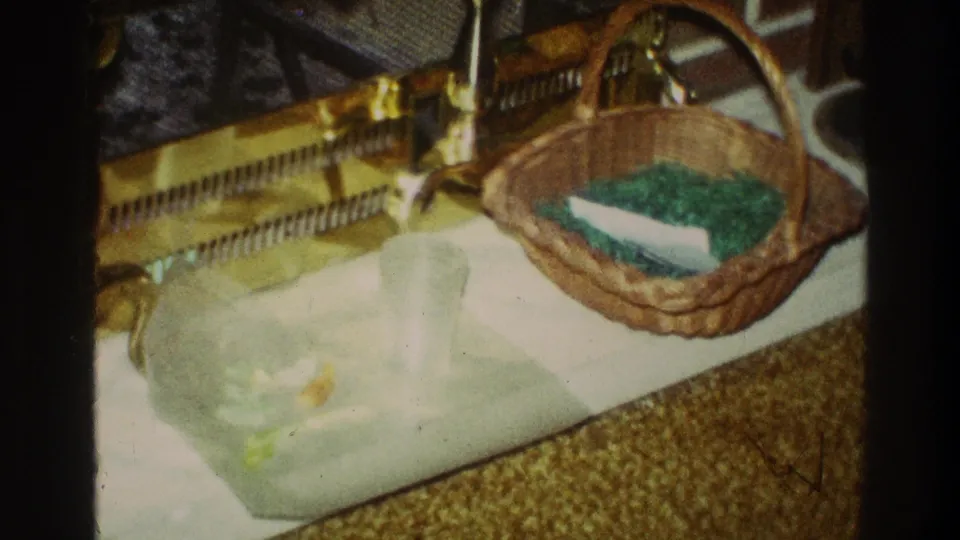 The 8mm frame shows a wicker Easter basket filled with green grass on a tray in a Clarendon Hills home interior, with brass fireplace tools behind it.