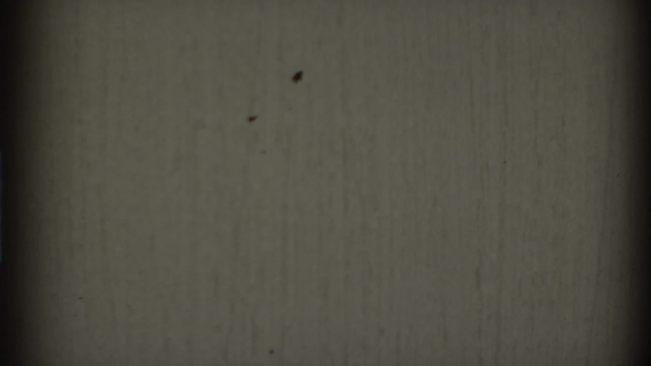 Blank off-white film frame with dark vertical bands, grain, and specks.