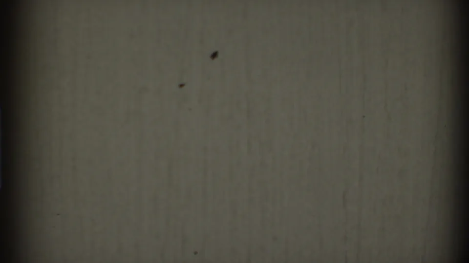 1969 Clarendon Hills 8mm frame showing a blank off-white field with dark gate shadows, grain, scratches, and dust specks.