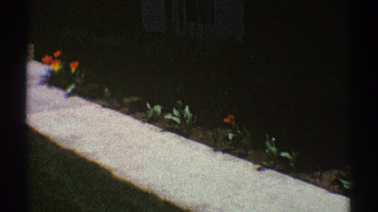 Concrete sidewalk beside a dark flower bed with orange tulips and green lawn.
