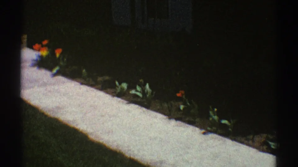 1969 Clarendon Hills home-movie frame showing a sidewalk bordered by tulips and shaded planting near a house entrance.