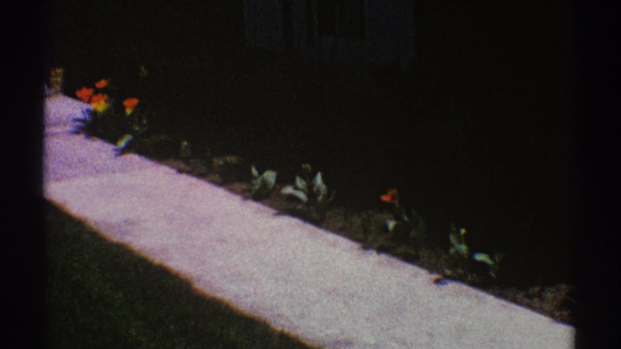 Sidewalk and tulips continue along a shaded garden bed near a house.