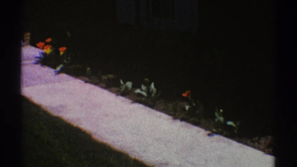 1969 Clarendon Hills frame with a pale concrete walk running past tulips and dark soil in a shaded residential garden.