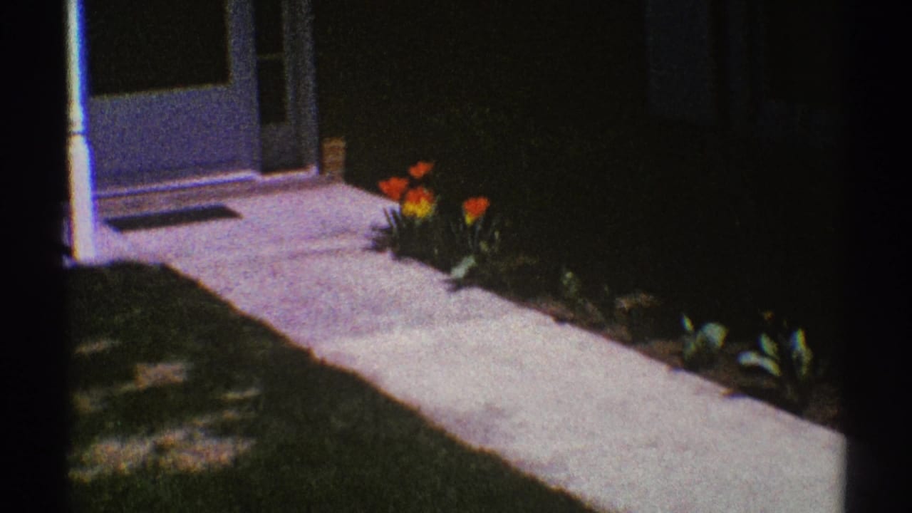 Concrete walkway beside a small tulip bed near a front door and lawn.