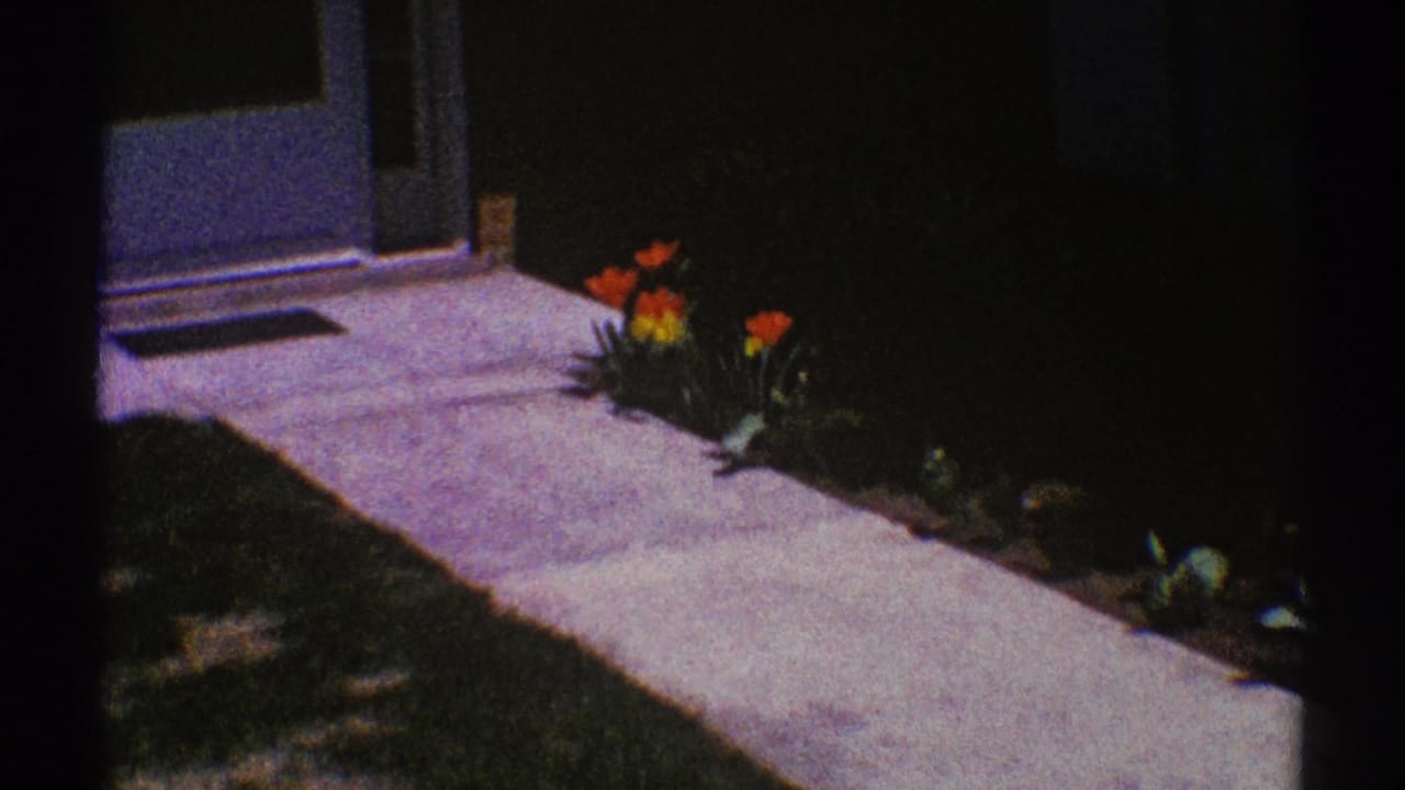 Front walkway with red and yellow tulips along the edge of a shaded entry.
