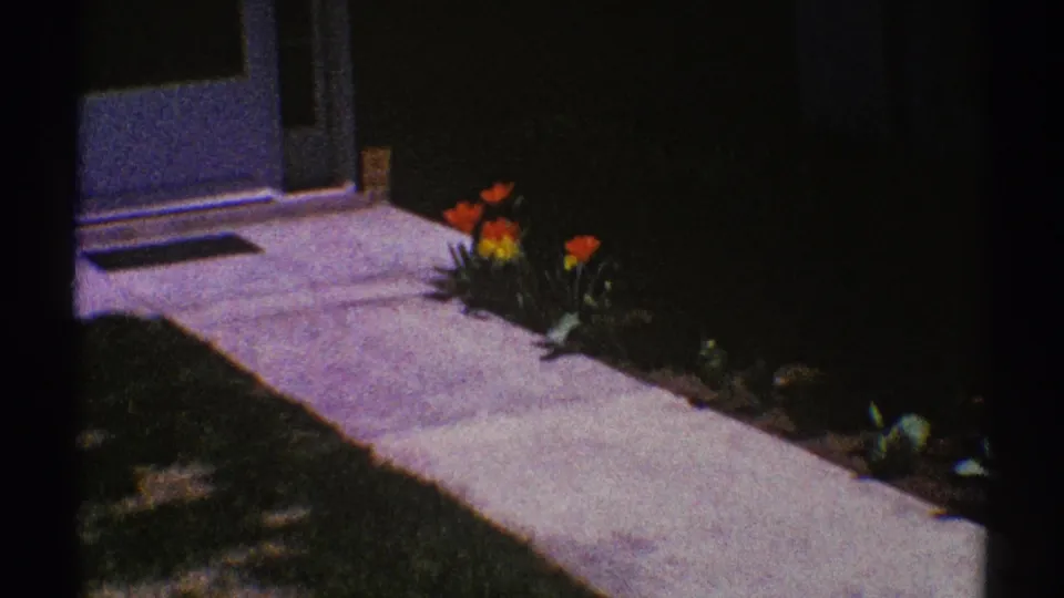 8mm frame from Clarendon Hills, Illinois, showing a concrete path leading toward a front door with tulips planted along the side.