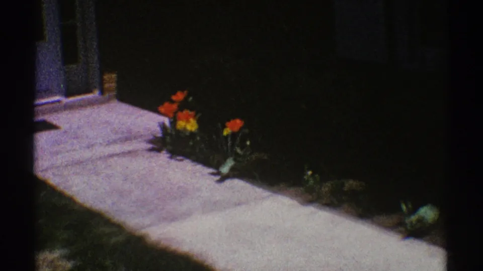 Clarendon Hills 1969 home-movie still with red and yellow tulips beside a pale concrete walk and a partly framed front door.