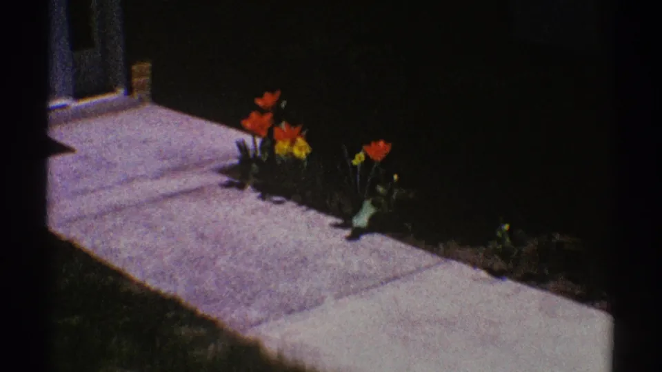 Late-1960s 8mm frame showing a shaded suburban house exterior with a sidewalk and bright red and yellow tulips in the foreground.