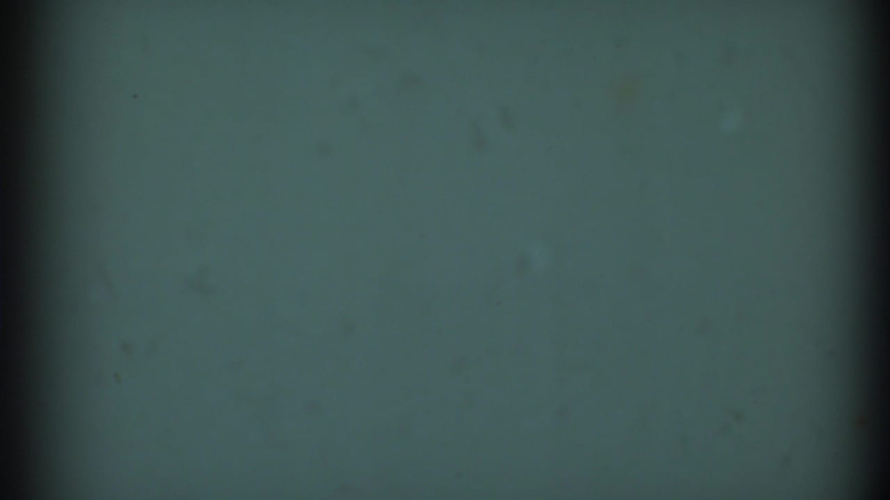 1969 8mm frame from the Clarendon Hills clip showing a muted green-blue field, vertical scan or gate shadow, soft vignetting, and dust.
