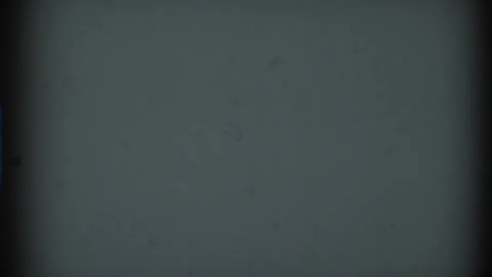 1969 8mm frame from the Clarendon Hills clip showing a dim, mostly abstract outdoor exposure with grain, dust marks, and darkened frame edges.