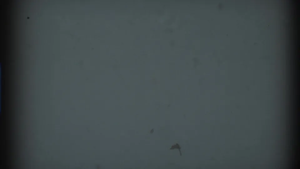 Underexposed 8mm frame from the clip showing mostly dark film density, soft gray-green tone, dust specks, and a vertical gate shadow.