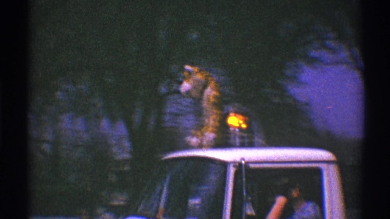 Tiger mascot standing on a white truck with an amber light at dusk.