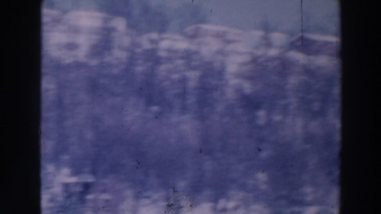 Soft, blue-toned view of snowy trees and distant pale shapes behind dark film borders.